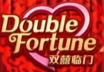 Double Fortune logo