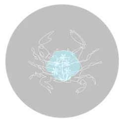 Silver is a lucky color for Cancers