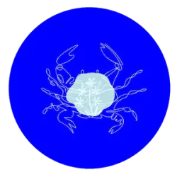 Blue is a lucky color for Cancers