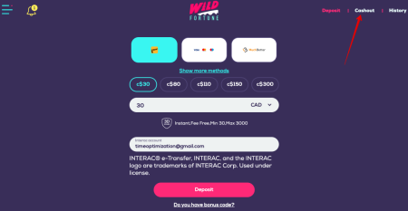 wild fortune casino withdrawal problems