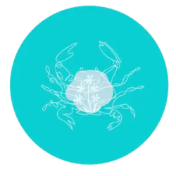 Turquoise is a lucky colour for Cancer