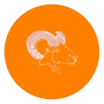 Bright orange is a color that brings a surge of luck