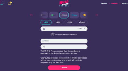 wild fortune casino withdrawal