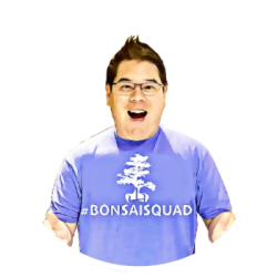 Bonsai Yama Review image
