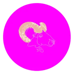 Magenta is a color that embodies passion and excitement